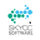 skycc网站排名软件正式版v9.1